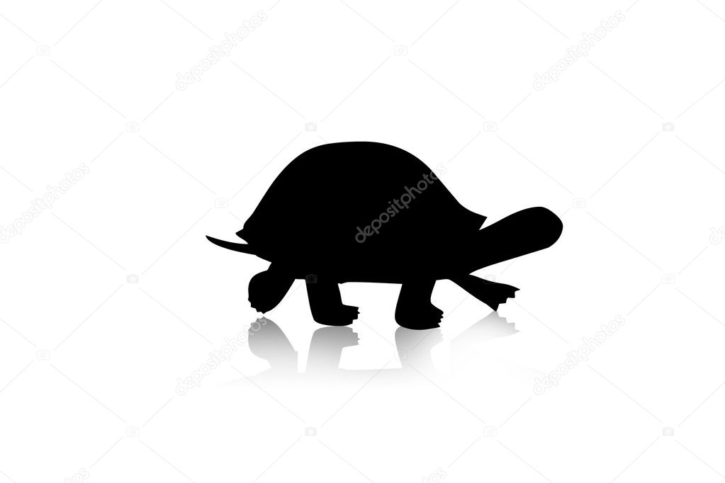 Schildkröte Silhouette Meerschweinchen Silhouette Bilder