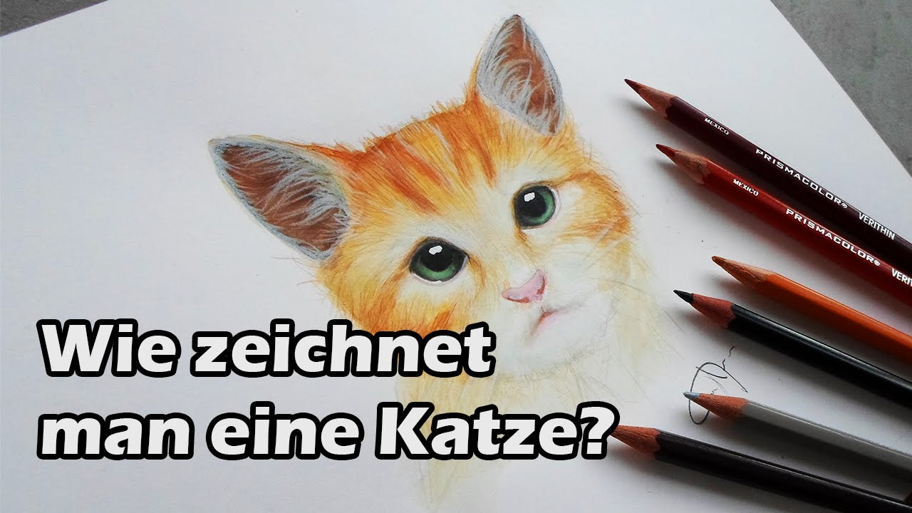 Wie Zeichnet Man Katzen Wie Zeichnet Man Einen Katze Schritt Für Schritt Für Anfänger & Kinder