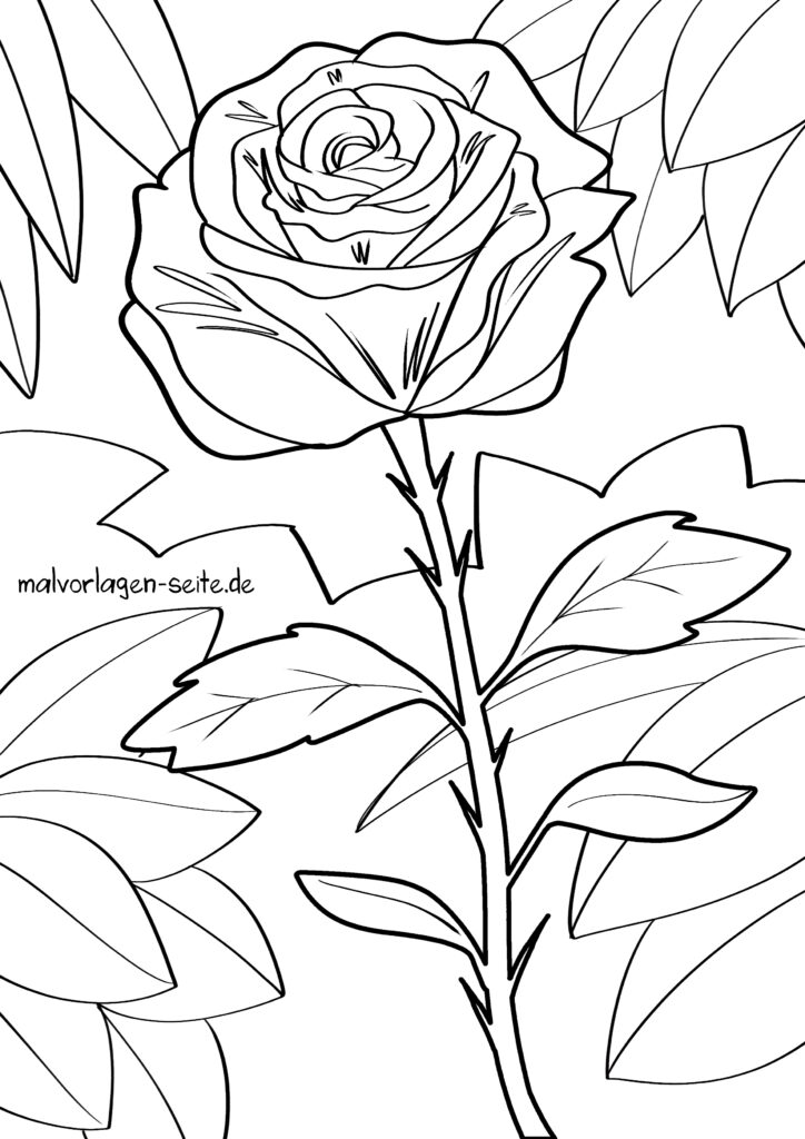 Vorlagen Rose Malen Aquarell-rose Malen Für Anfänger