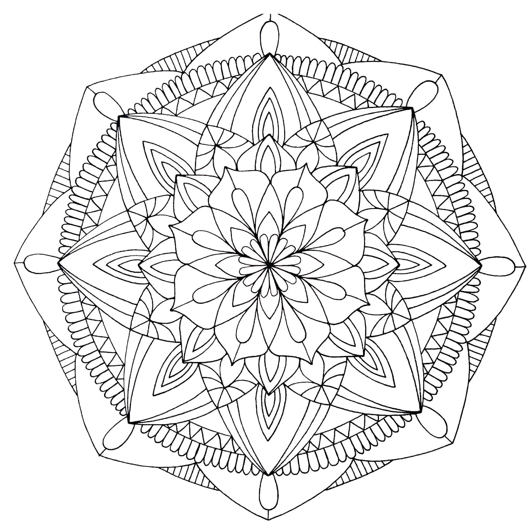 Mandala Bilder Ausdrucken Colorful Flower Coloring Page